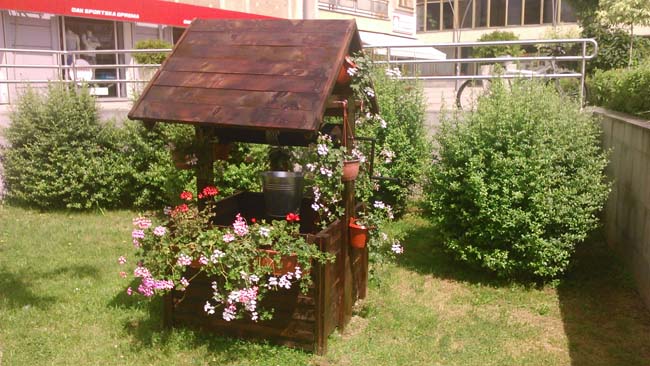 Novi ukrasi Gradskog zelenila (FOTO) 2 zelenilo2