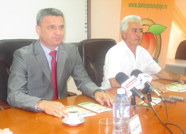 Dani srpske kajsije u Miokovcima 1 Dani srpske kajsije