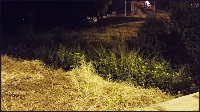 Revoltirani gradjani Ljubić keja 4 kej-7a