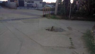 šahta