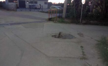 šahta