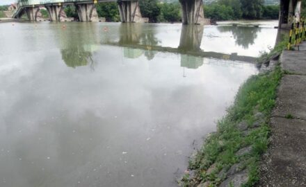 Morava Mrlja