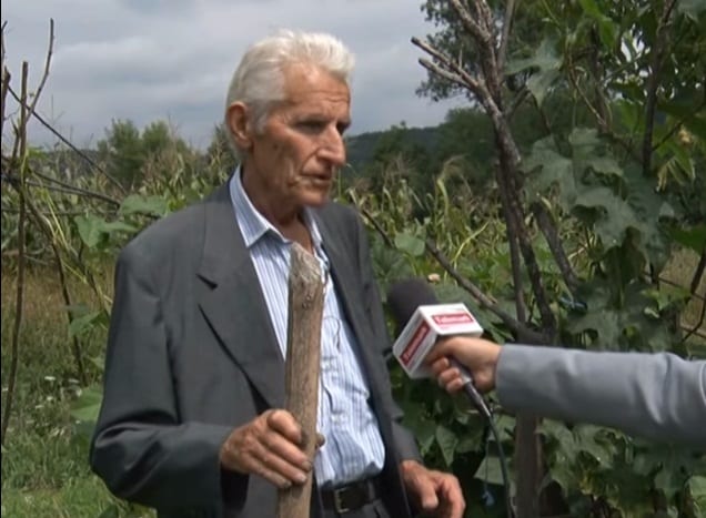 Pčele došle i ostale kod Maletkovića 2 Stojan Maletković