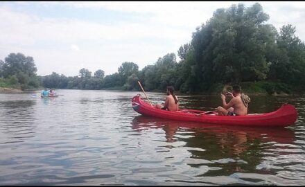 regata-4
