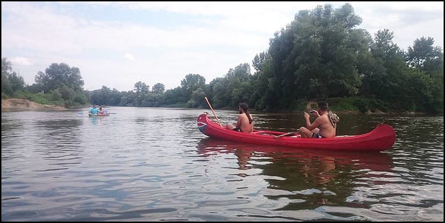 regata-4