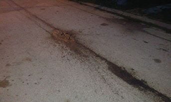 Iznošenje smeća