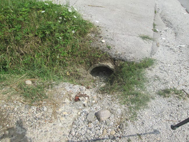 Novi asfalt doneo probleme građanima 2 Ulica Dragoslava Bojića