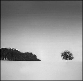 Izložba Damira Buzurovića u Solunu 4 Dragon snow tree, resize