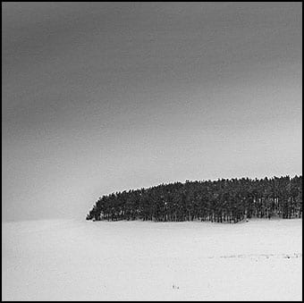 Izložba Damira Buzurovića u Solunu 3 Snow snake, resize
