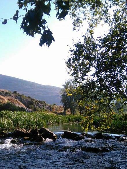 Možeš ti iz Srbije, ali neće Srbija iz tebe! 2 austrija1