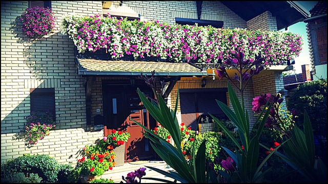 Najlepše dvorište i balkon 6 aleksandra-1