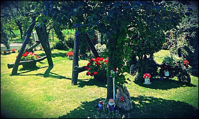 Najlepše dvorište i balkon 9 biljana-8-22