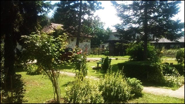 rada-cvetic-23