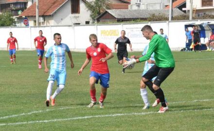 Polet, Ljubić