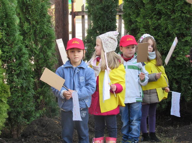 Posađeno 15 četinara 2 Eko park Jelica