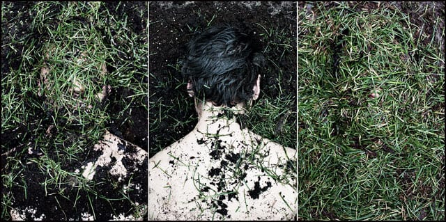 vizu-grass