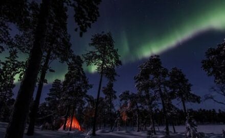 Norveska SEURA