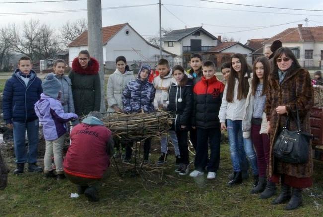 sove4