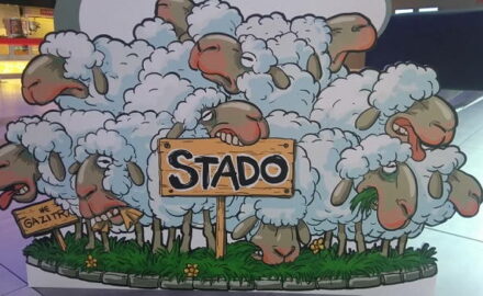 stado, film