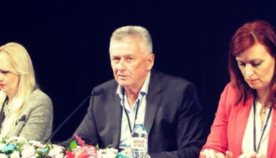 Velimir Ilić