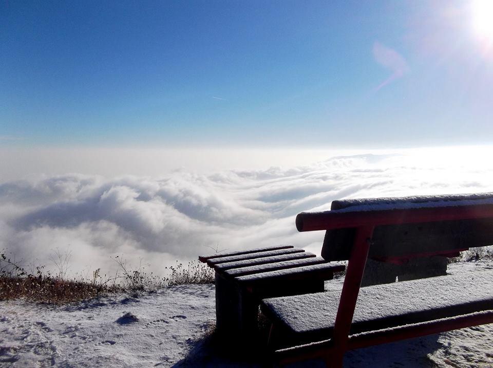Čačanin pobedio na foto konkursu TOS-a 2 Stefan Lukić