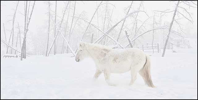 winter_05a