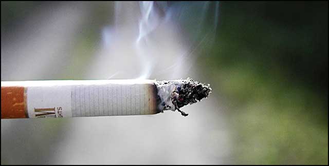 cigareta