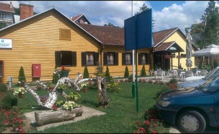 Zdravljak-8