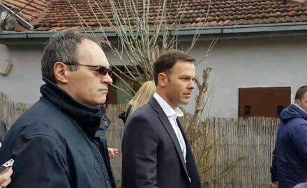 siniša mali