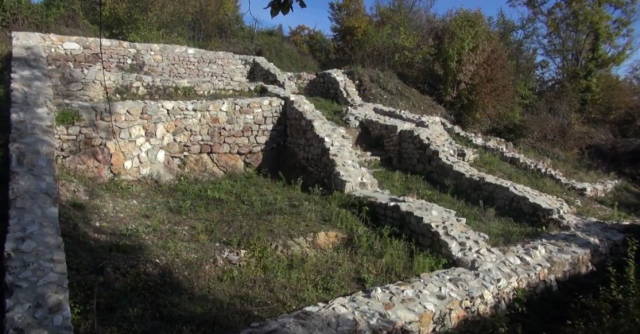 Izložba eksponata sa Gradine u Muzeju Vojvodine 2 Jelica