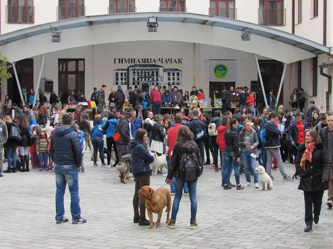 Izložba Gimnazija