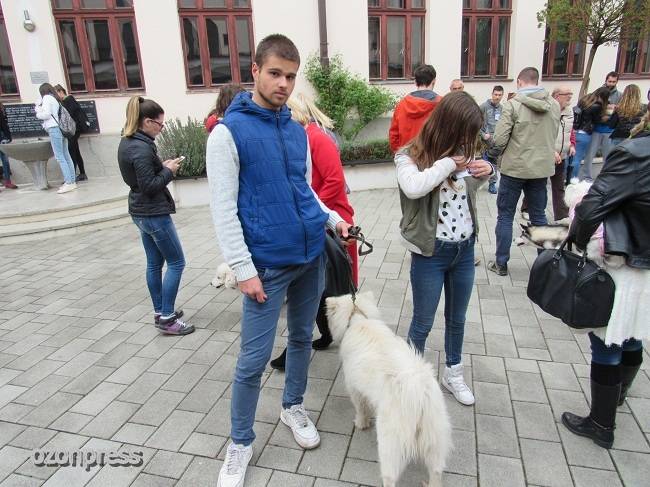 Izložba kućnih ljubimaca u Gimnaziji (FOTO) 11 Izložba Gimnazija