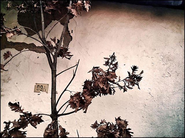 Treca-nagrada---O1