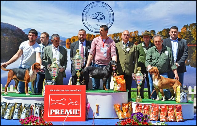 izlozba-pasa-cacak
