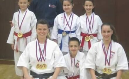 kk Nemanja
