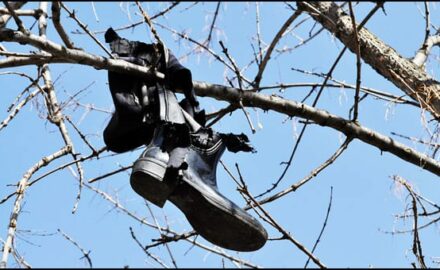 rad-Have-we-waged-war-on-trees,-autor-Lazar-Ilić