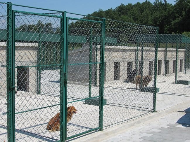 Počeo sa radom AZIL za nezbrinute životinje (FOTO) 3 azil