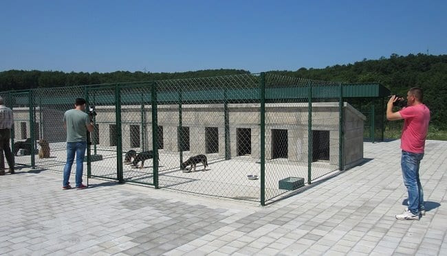 Počeo sa radom AZIL za nezbrinute životinje (FOTO) 4 azil
