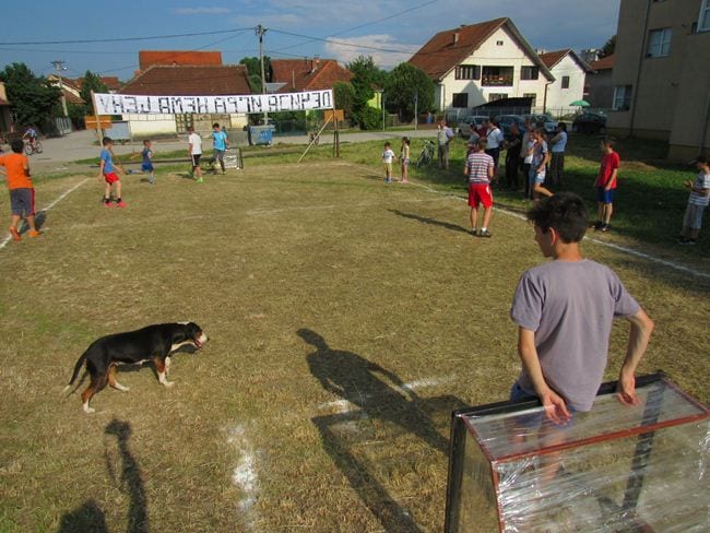 košutnjak