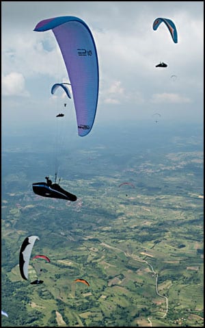 para-nis-1