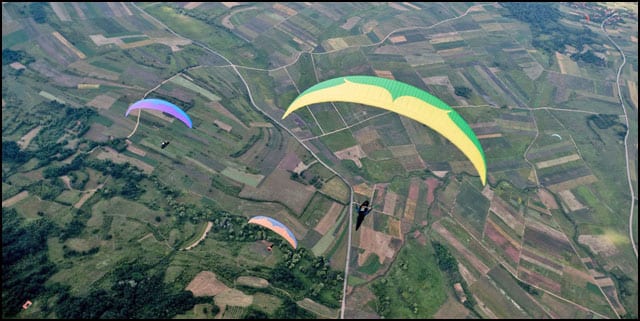 para-nis-2