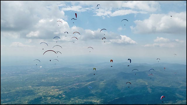 para-nis-3