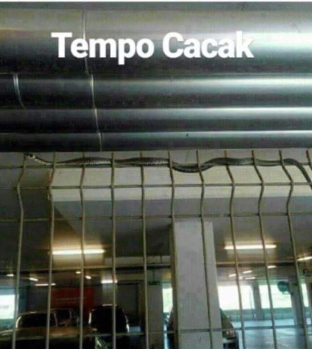Ogromna zmija u čačanskom tržnom centru (FOTO) 1 tempo