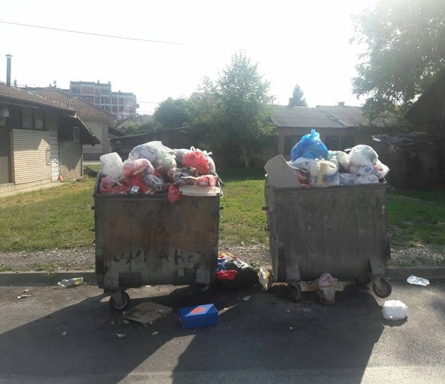trnavska ulica