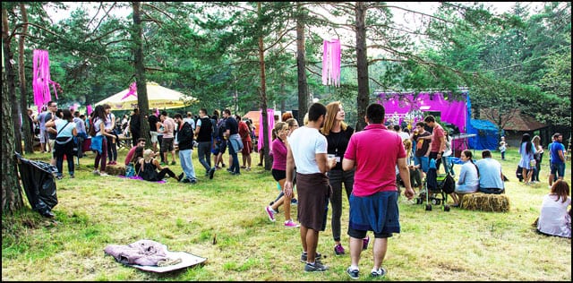 Mountain-Music-Fest-Divcibare-1