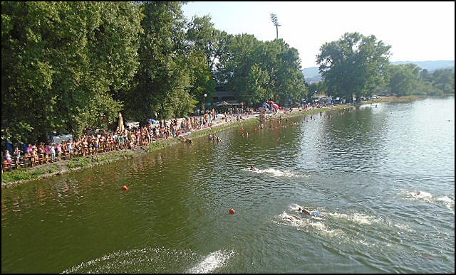 finiš