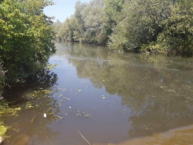MZ Preljina preti tužbama zbog ugrožavanja zdravlja ljudi 3 dicina