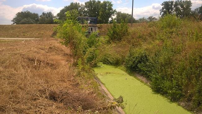 Ustava zarasla u korov 1 kanal