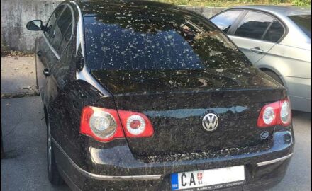 auto