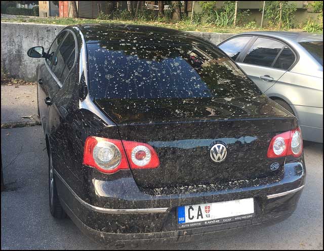 Lepše je sa kulturom 1 auto